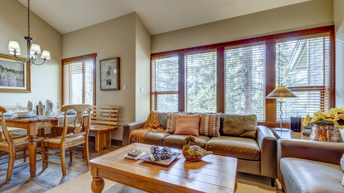 Living / Dining Area