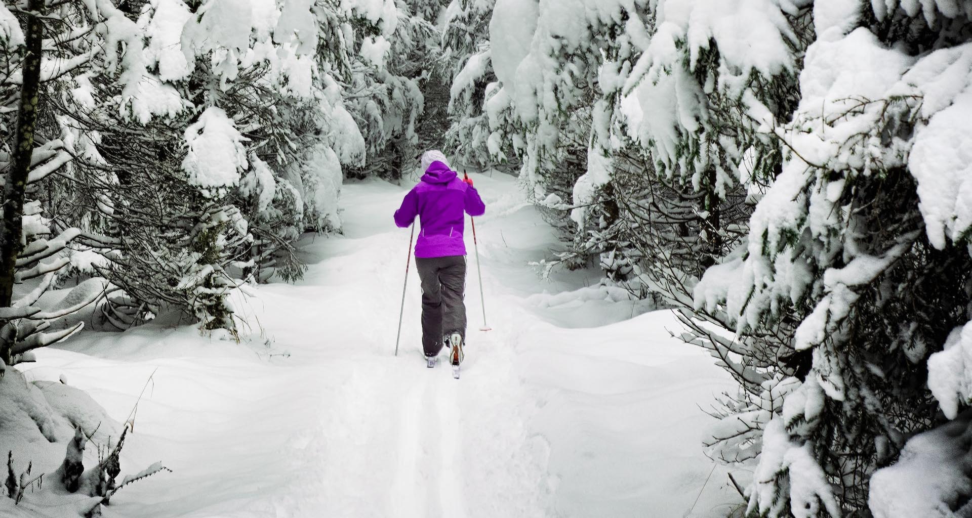 Cross Country Skiing in Whistler