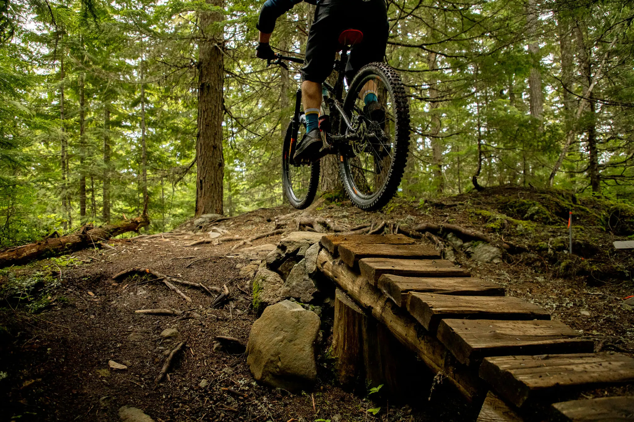 Riding a forest trail in the Whistler Mountain Bike Park