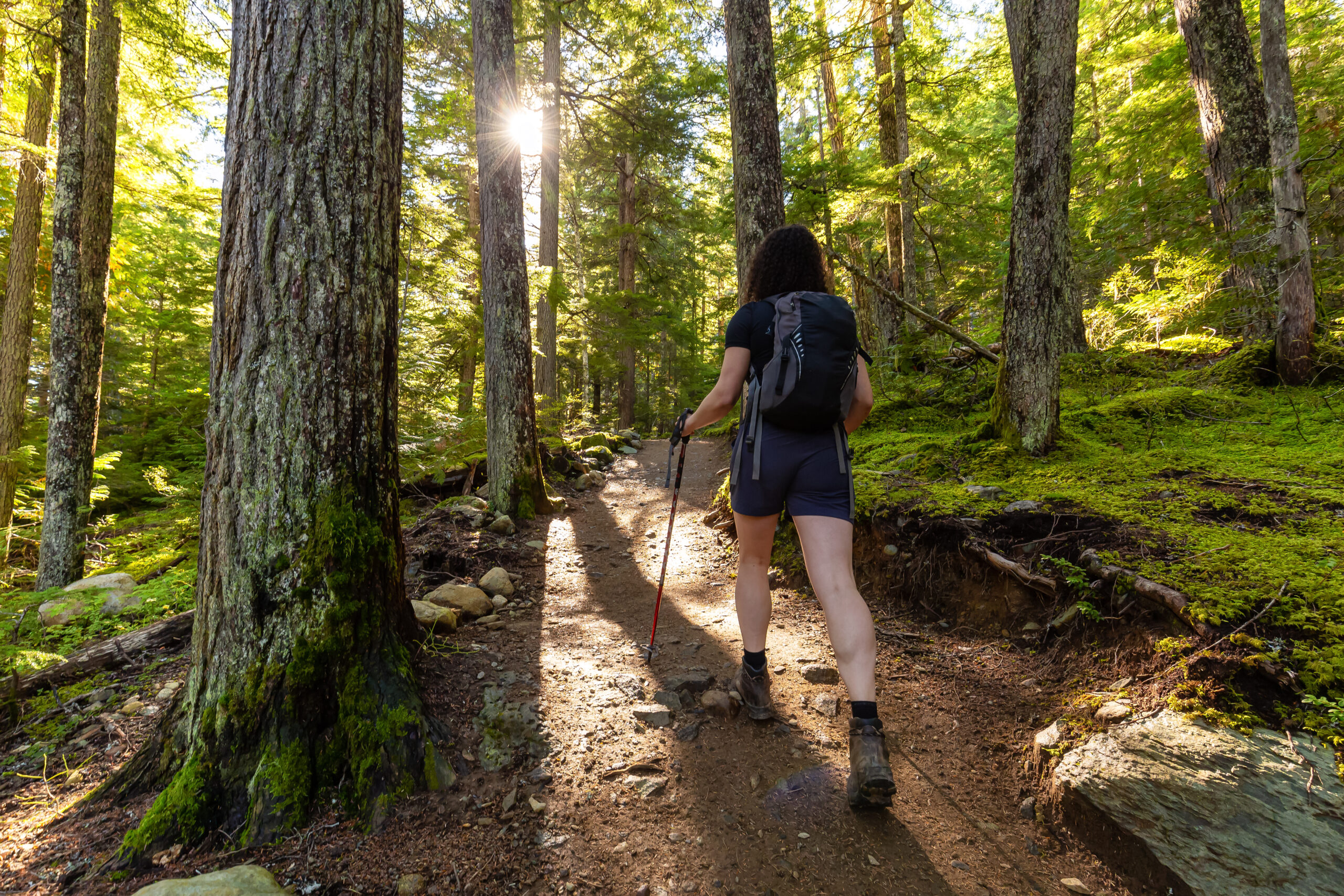 Hiker on an alpine trail in Whistler
