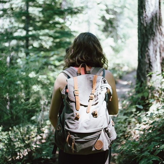 Guided Hiking Tours in Whistler