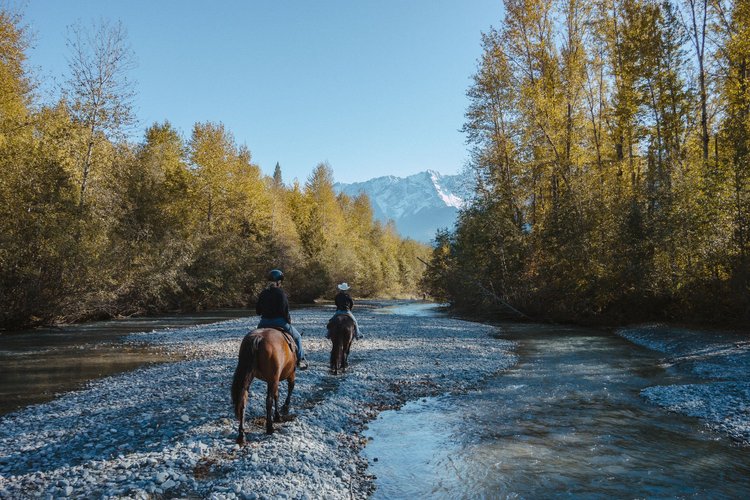 Horseback Riding in Whistler
