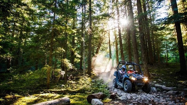 Off-road buggy tour through Whistler forest trails