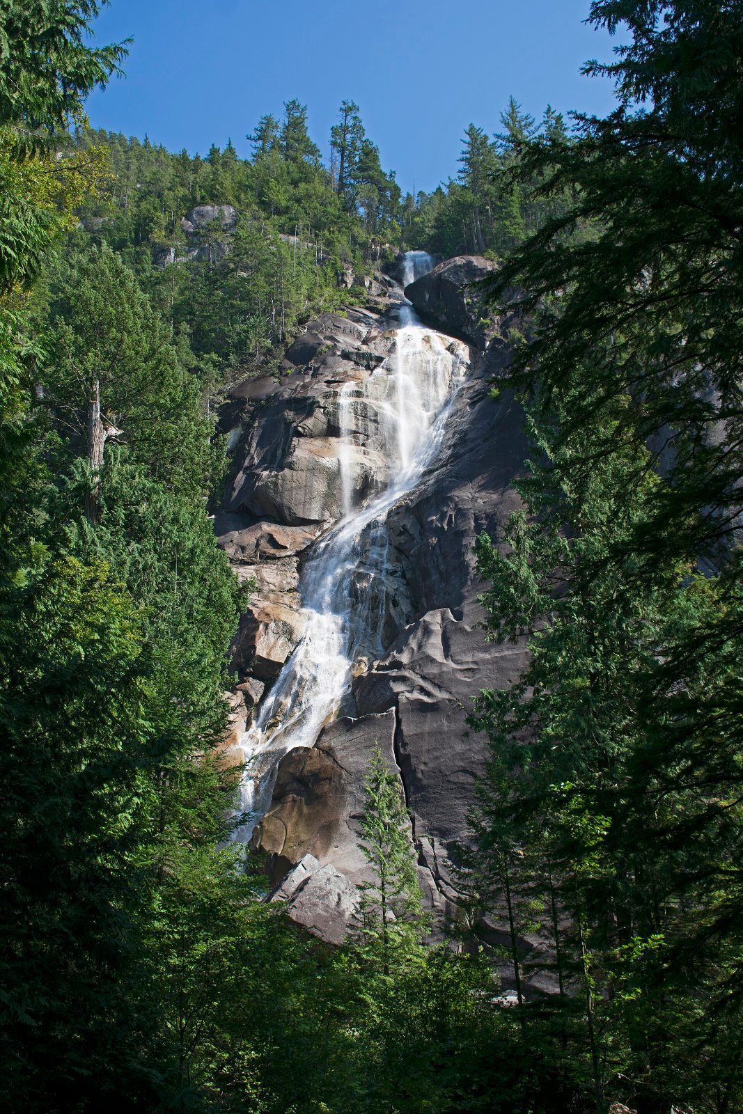 Shannon Falls cascading 335 metres down granite cliffs through the forest near Squamish, BC