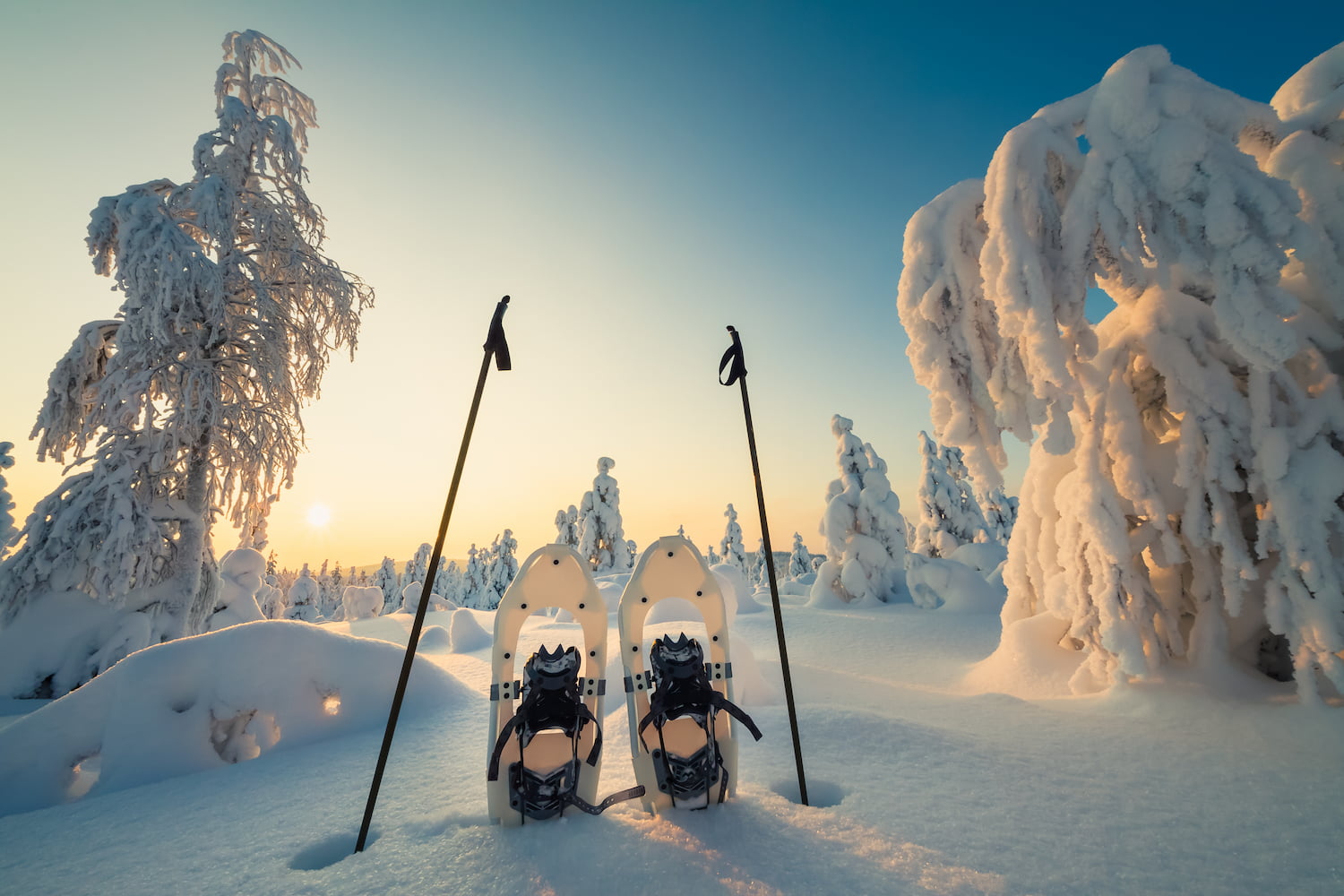 Snowshoeing in Whistler