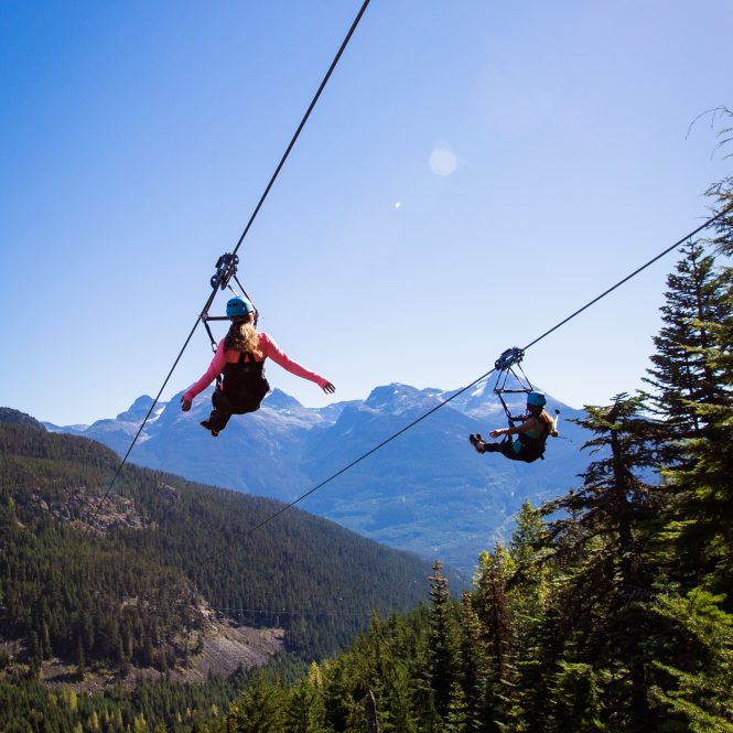 Superfly Ziplines above the Whistler forest in summer