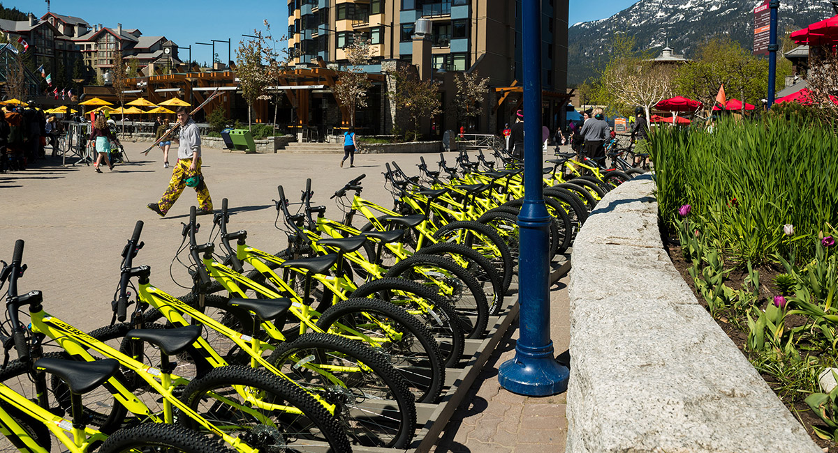 A row of rental bikes lined up in Whistler Village on a sunny day