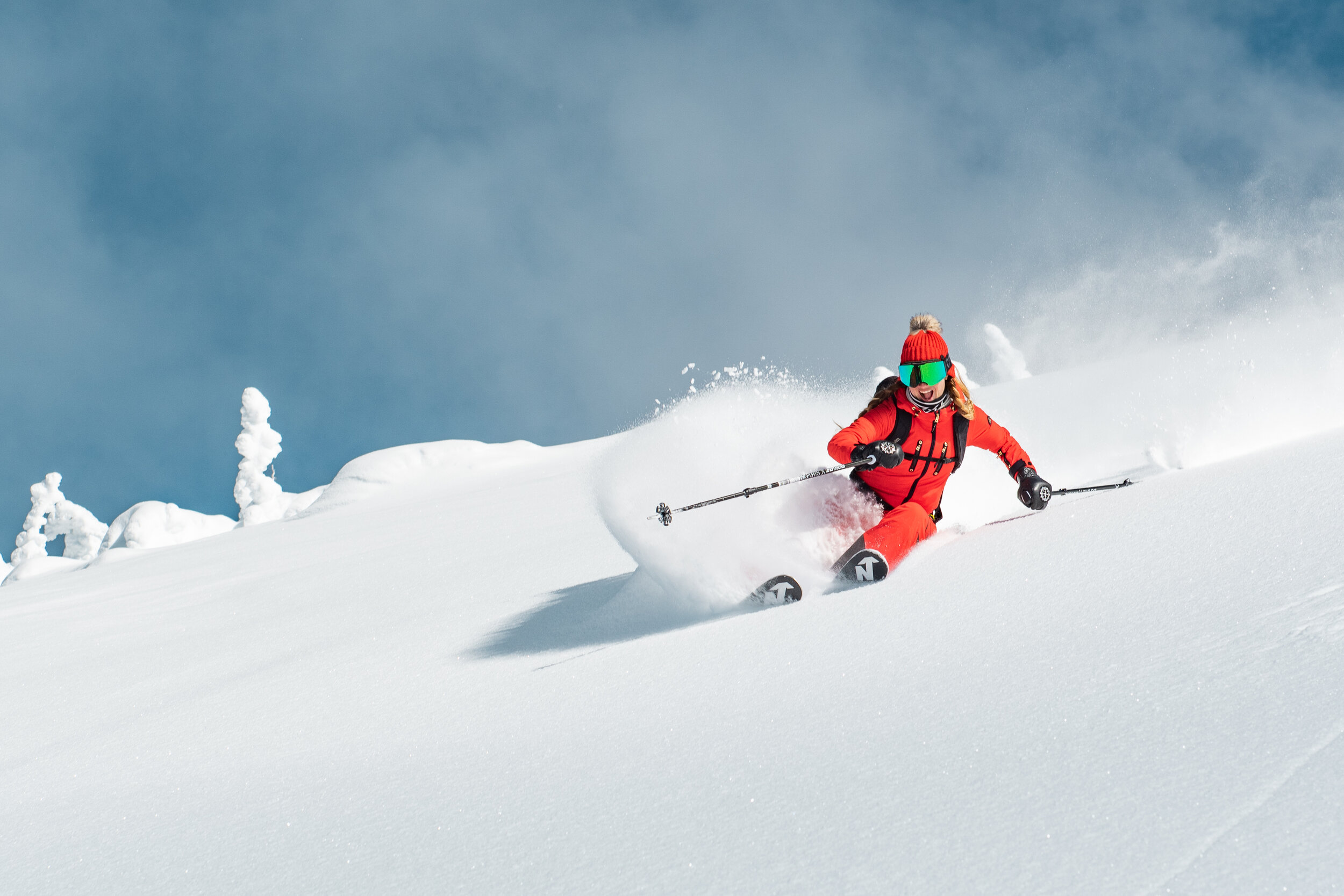 Skiing Guide in Whistler