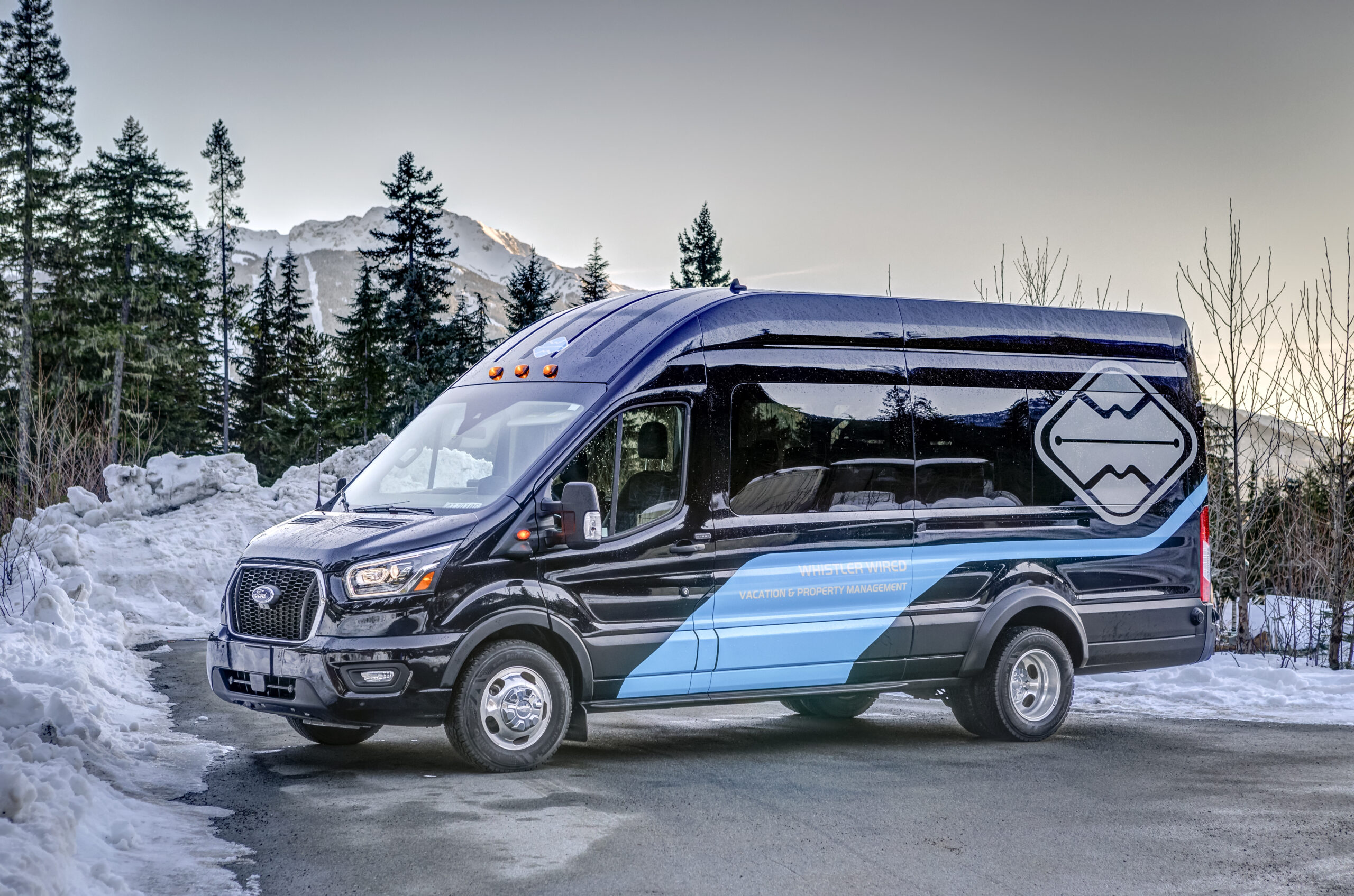 Custom Limovan