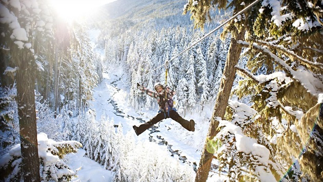 Rider on the Ziptrek Bear Tour zipline